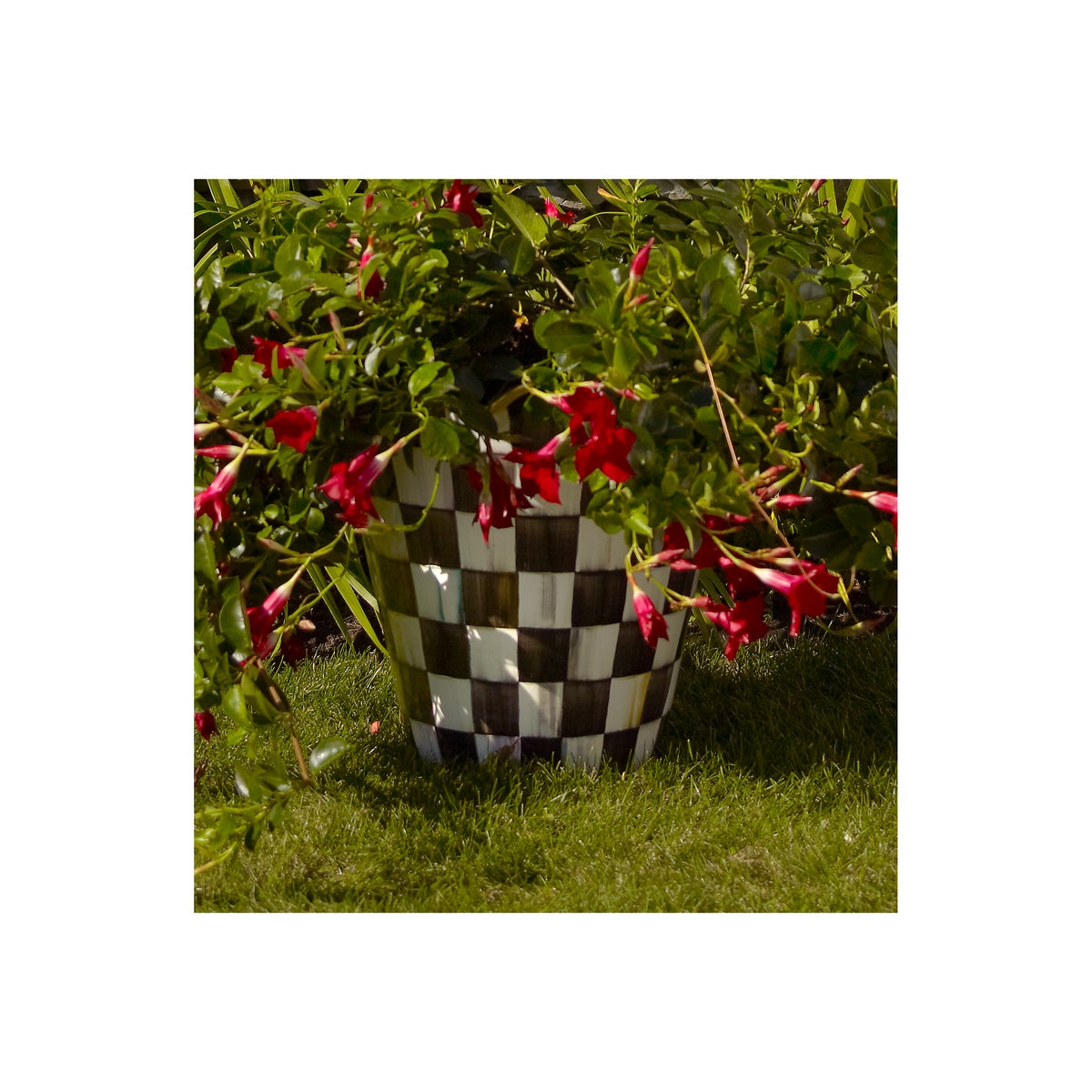 Courtly Check Ceramic Jumbo Garden Pot - Image 4