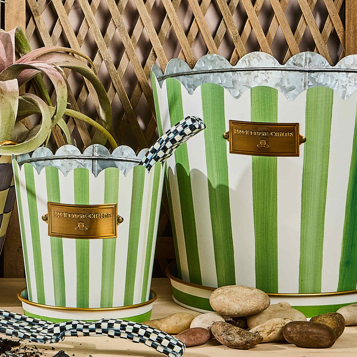 Grass Green Stripe Pots & Saucers, Set of 3 - Image 4