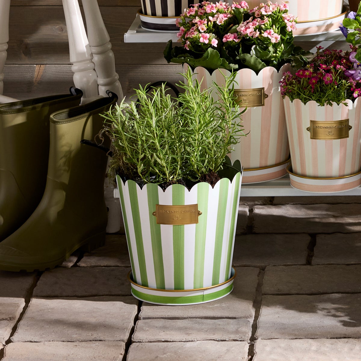 Grass Green Stripe Pots & Saucers, Set of 3 - Image 6