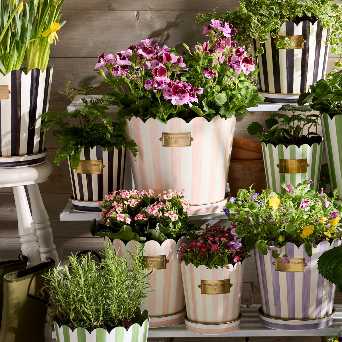 Rosy Stripe Pots & Saucers, Set of 3 - Image 2