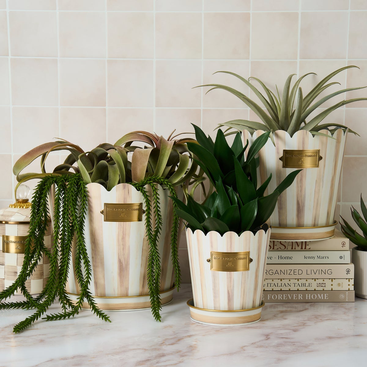 Mocha Stripe Pots & Saucers, Set of 3 - Image 2