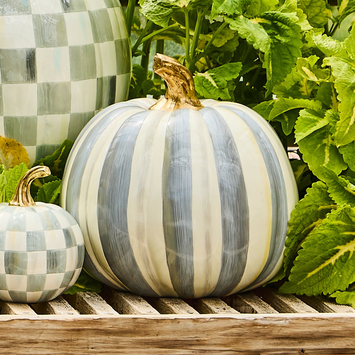 Sterling Stripe Medium Pumpkin - Image 6