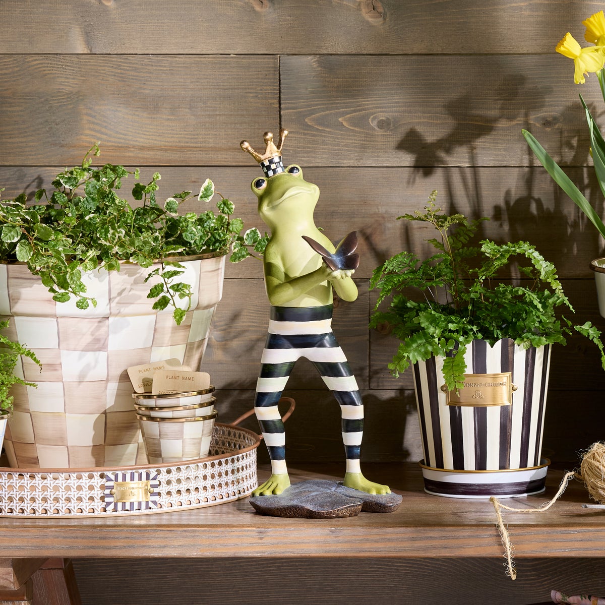 Courtly Fergal the Frog with Butterfly Decor - Image 5