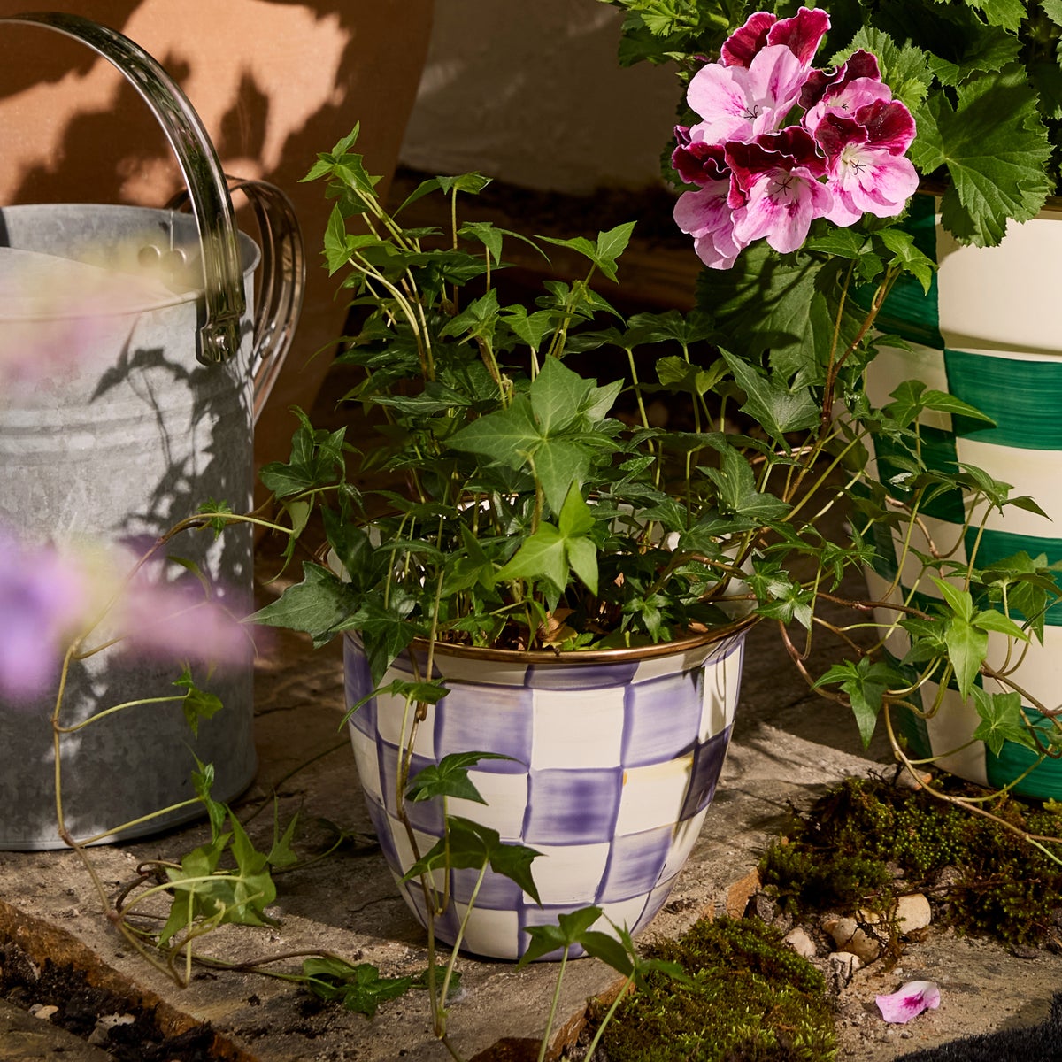 Violet Check Large Flower Pot - Image 3